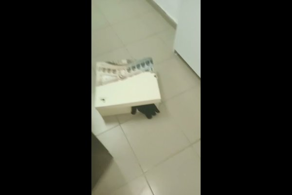 Кракен ссылка призыва нет