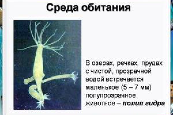 Кракен маркетплейс реклама текст