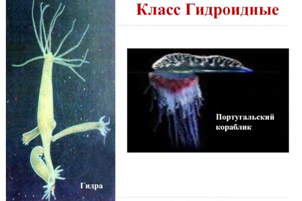 Кракен сайт krk market com