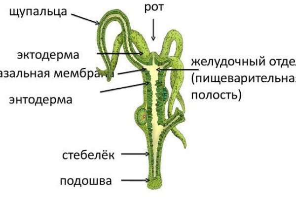 Кракен маркетплейс это
